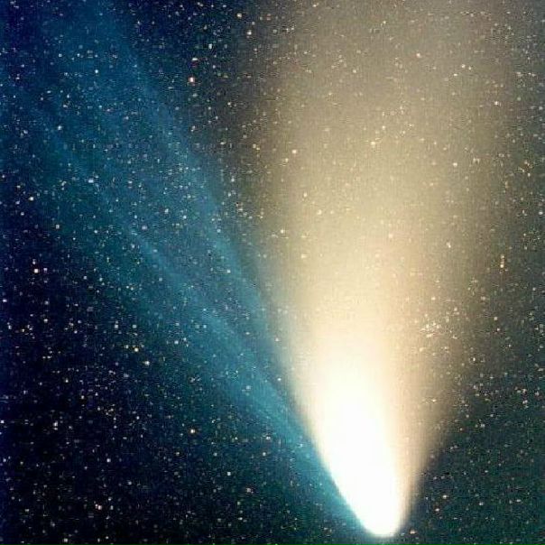 №24, Павел Драговаловский, 27 лет, Москва, Россия №24, Павел Драговаловский, 27 лет, Москва, Россия