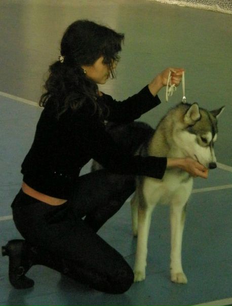 №74, Валерія Білюк, Киев №74, Валерія Білюк, Киев