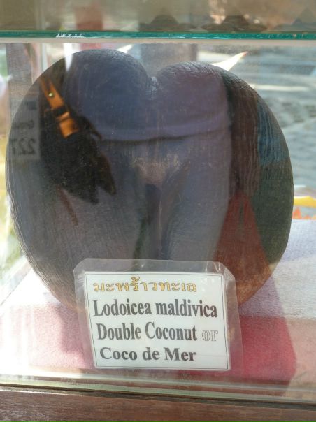 №112, Мария Забродина, 36 лет, Чита, Россия №112, Мария Забродина, 36 лет, Чита, Россия