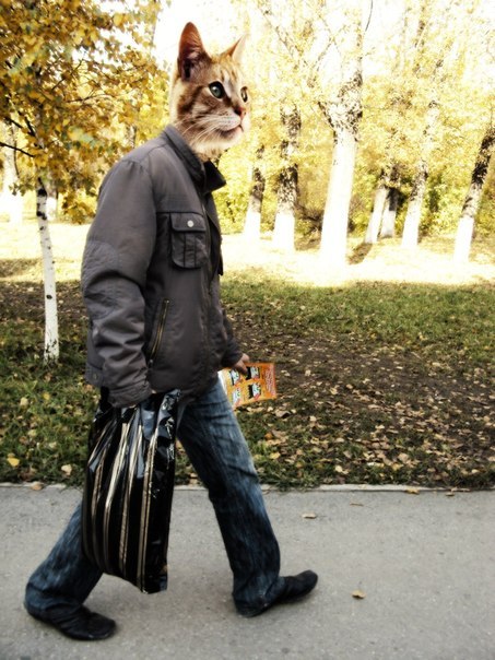 Серёга Милёшкин | Николаев