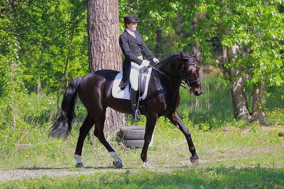 №11, Олеся Карячкина №11, Олеся Карячкина