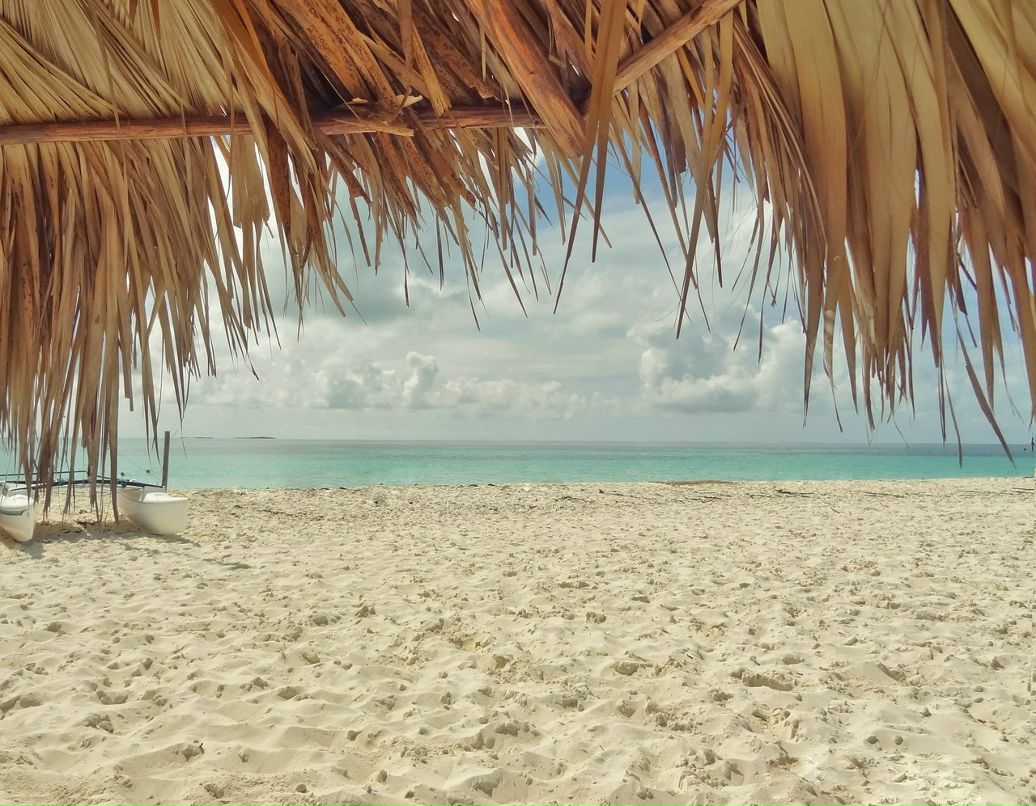 Мария Аносова | Новосибирск