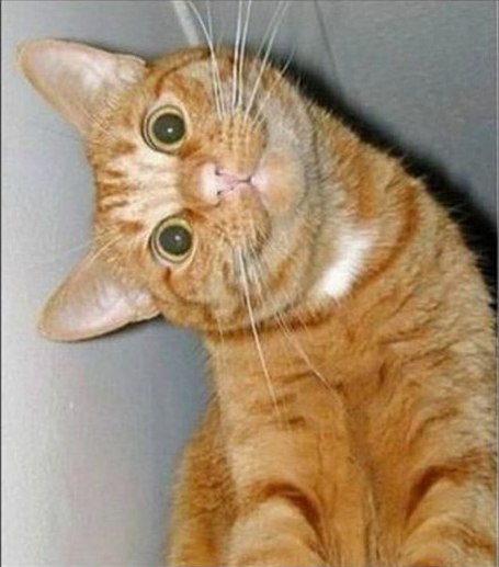 Андрій Іщенко | Ивано-Франковск