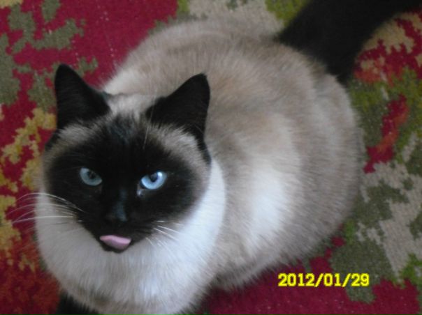 №18, Татьяна Олешкевич №18, Татьяна Олешкевич