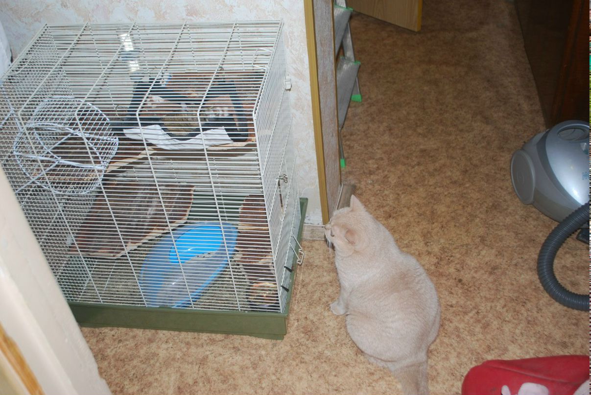 Никита Кушлис | Москва