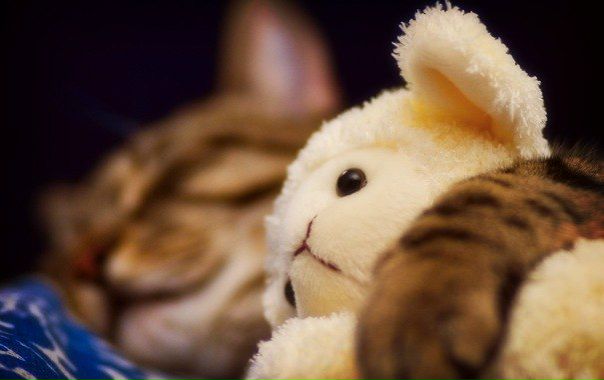 №172, Юрий Панкрушев №172, Юрий Панкрушев