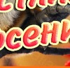 №12, Инна Ковалёва №12, Инна Ковалёва