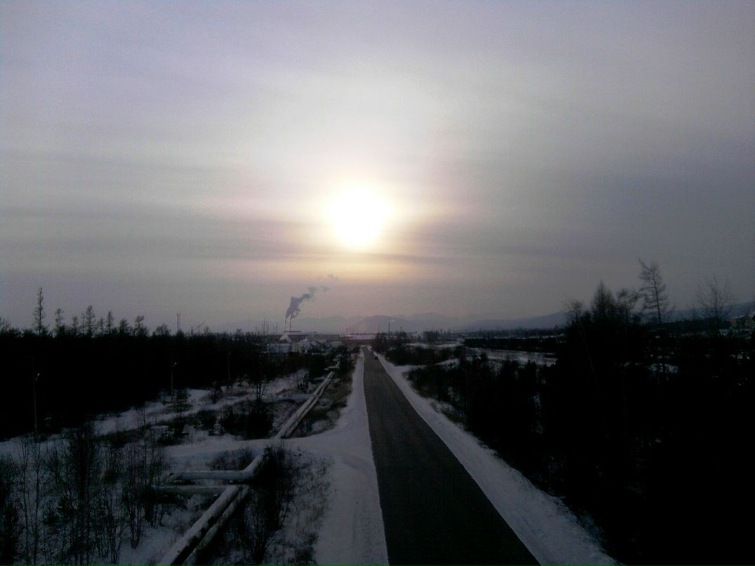 Анастасия Зубачева | Новосибирск