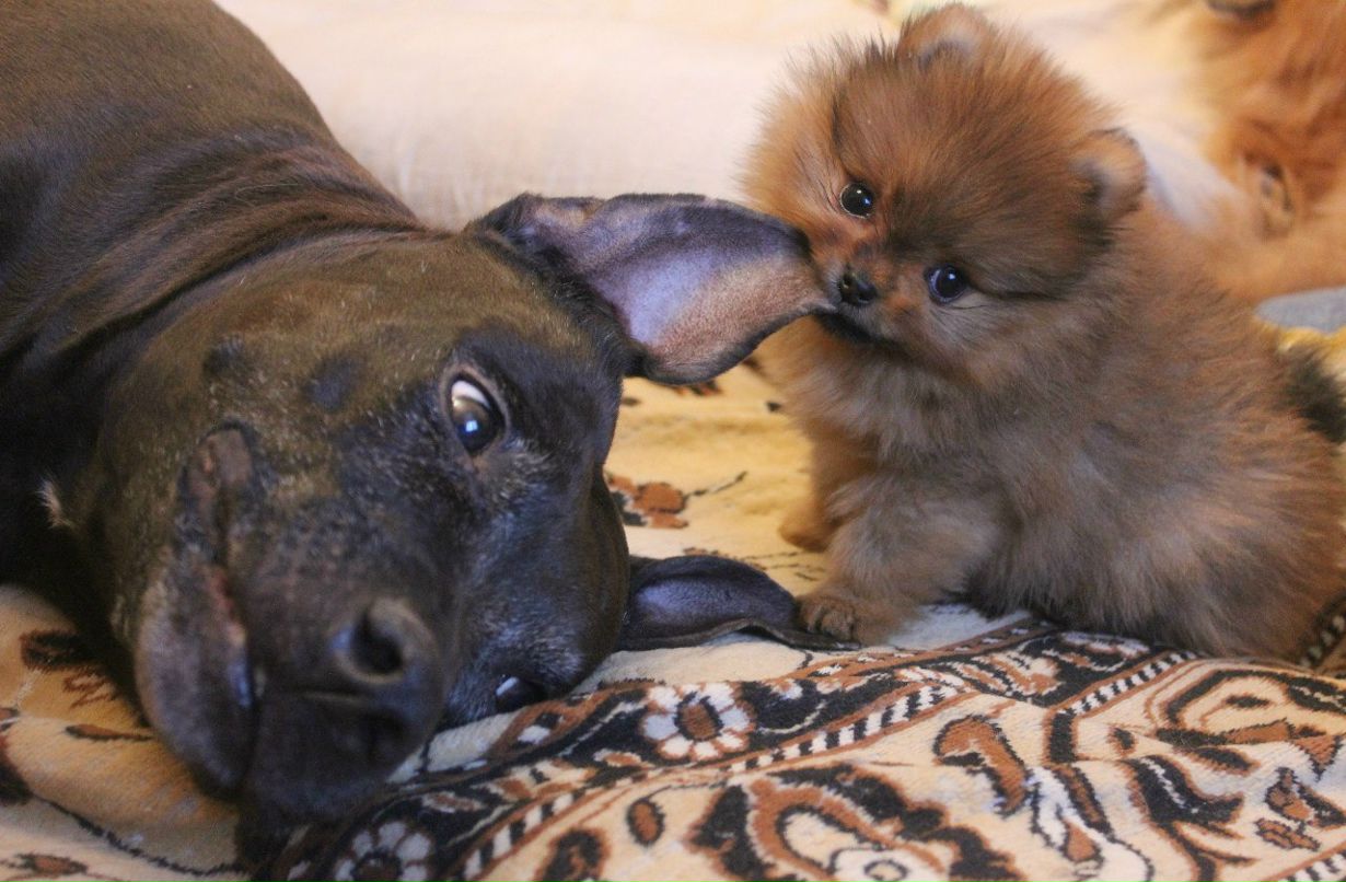 Мария Власенкова | Санкт-Петербург