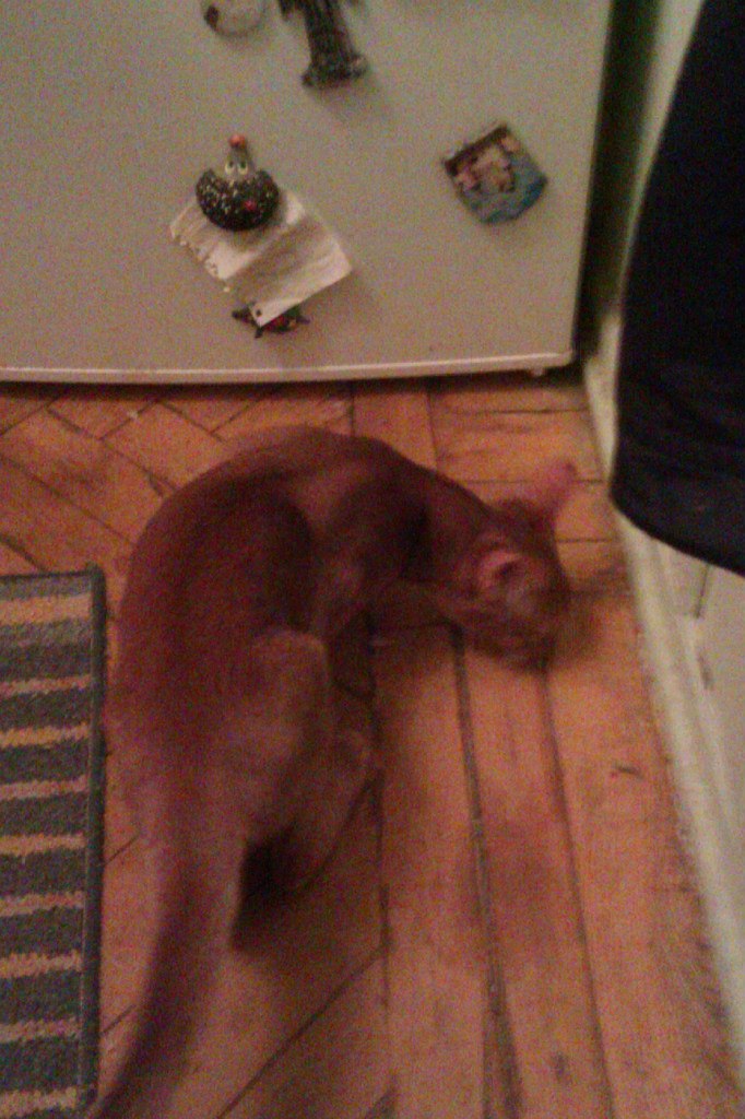 Михаил Ефимов | Москва