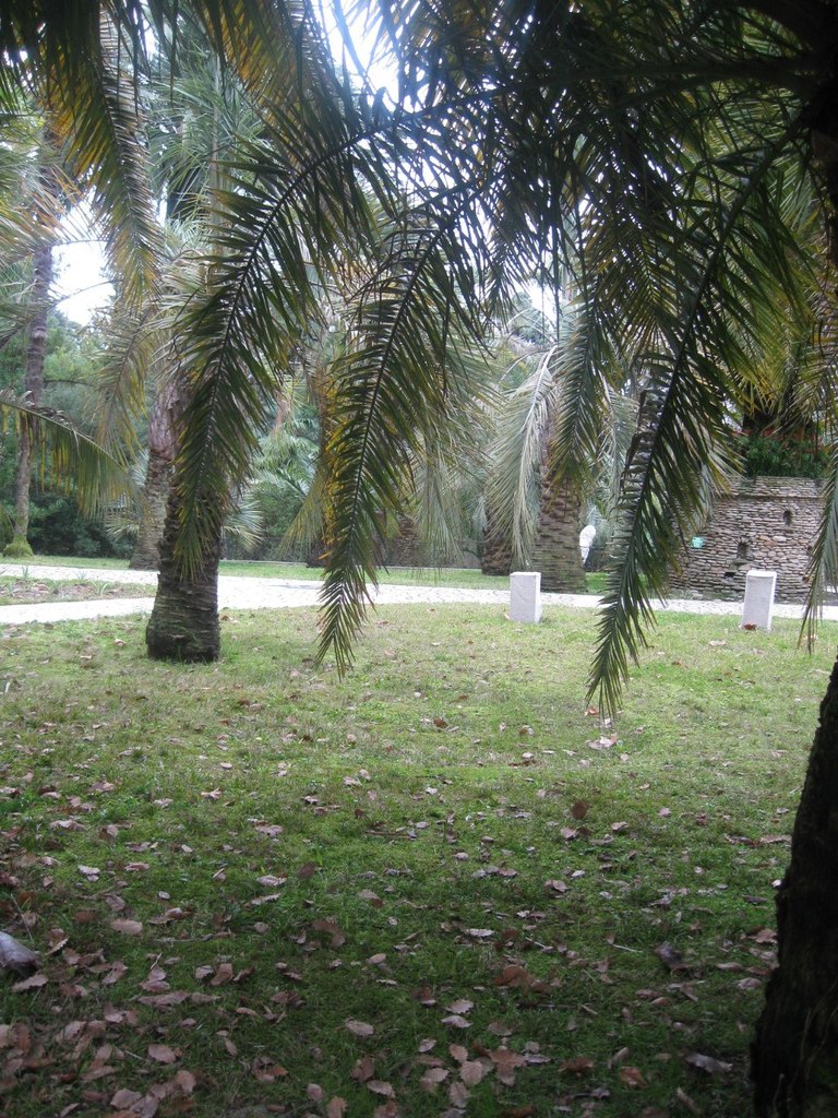 Лина Курдыбайло | Brno