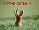 №17 Татьяна Гадяцкая (Карлссон) 21.01: профиль, фото, статус - ВКонтакте №17 Татьяна Гадяцкая (Карлссон) 21.01: профиль, фото, статус - ВКонтакте