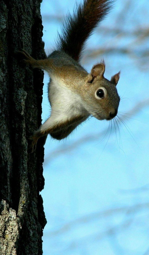 Павел Чернигов grinwitch | Чернигов