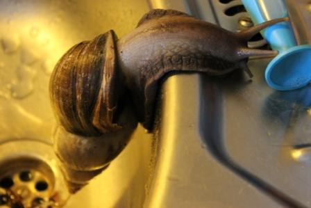 Ольга Мелюшкина ٩(̾-̮̮̃̾-̃̾)۶ | Ростов-на-Дону