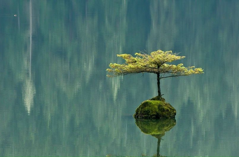 Ира Прилипко | 