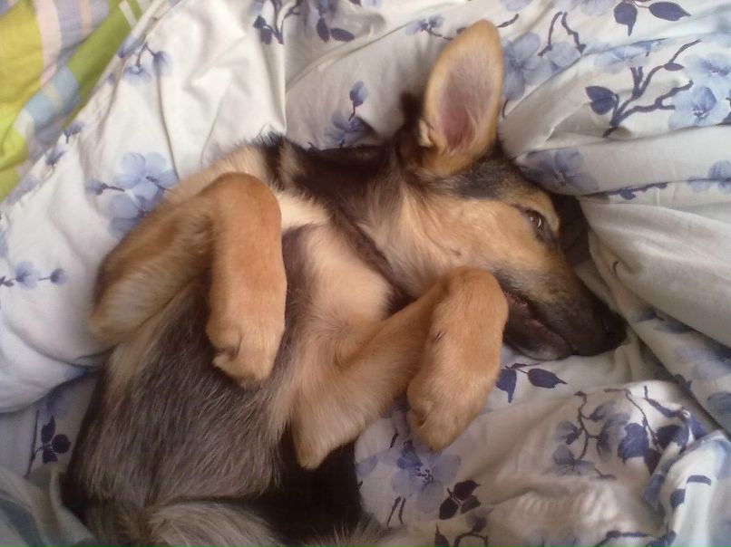 Санька Родионова | Москва