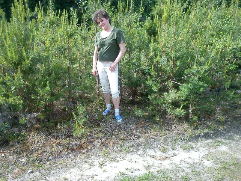 №12, Тамара Анисимова №12, Тамара Анисимова