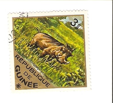 Жека Карпичев | Череповец