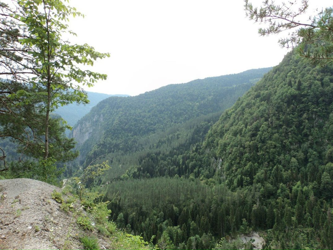 Николай Николаев | Казань