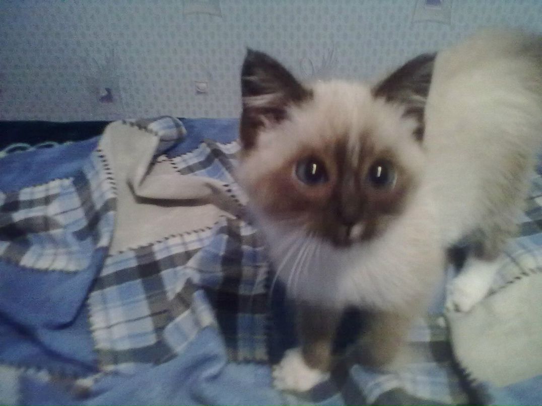 Мария Мелюх | Минск