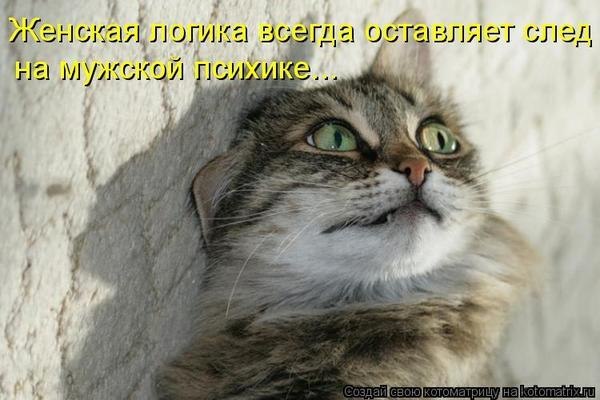 Евгений Ржевский =Poruchik= | Санкт-Петербург