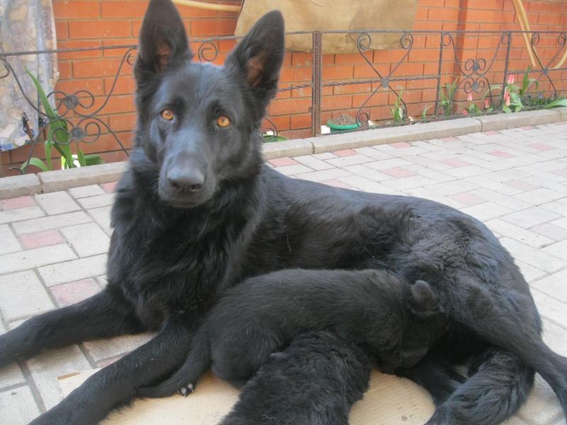 Дмитрий Баткаев | Москва