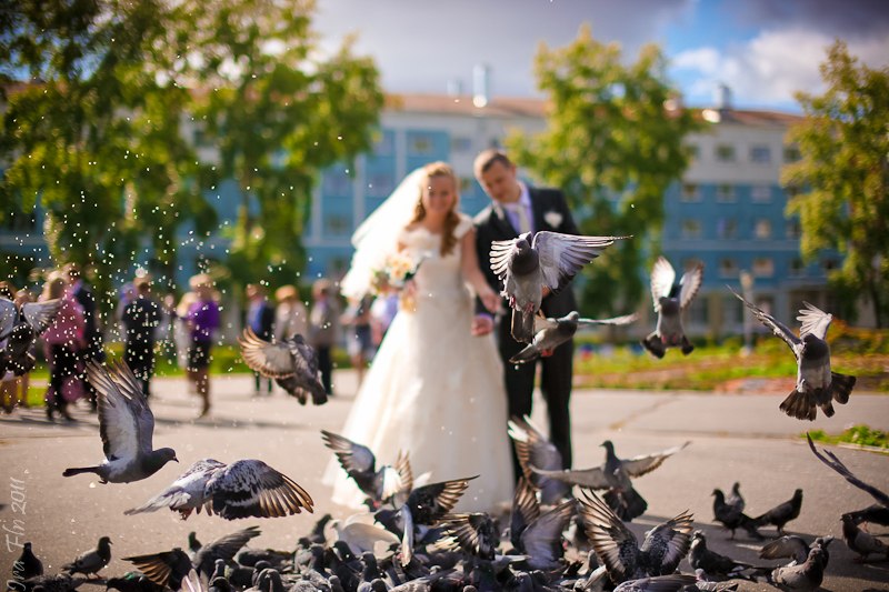 Наталья Котлова | 