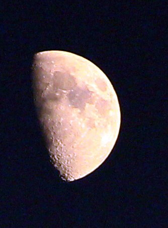 Светлана Люлюченко | Москва