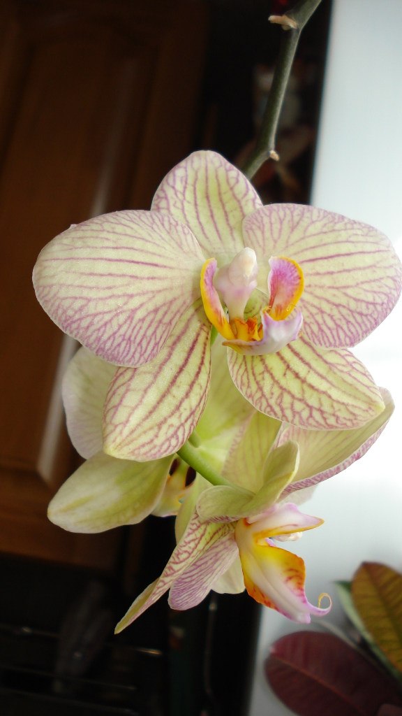 Ольга Макурина | Самара