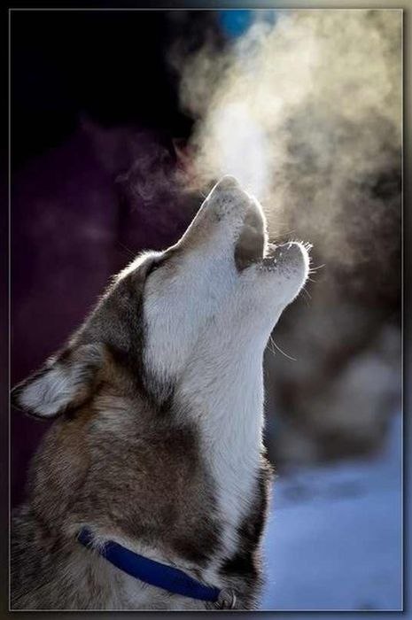 Сергей Наветанюк | Токмак