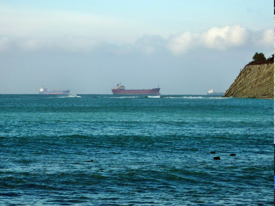 Александр Евдокимов | Зеленоград