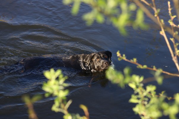 №3, Никита Альзоба №3, Никита Альзоба