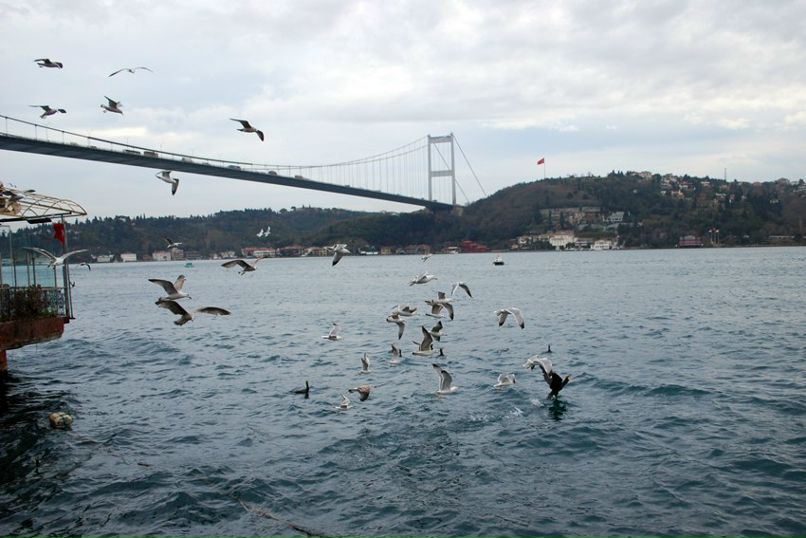 Ольга Бельских | Екатеринбург