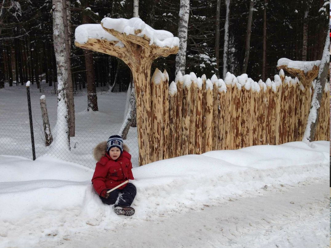 Николай Гайворонский | Москва