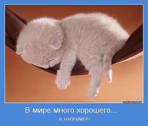 Натали Новаковская | Одесса