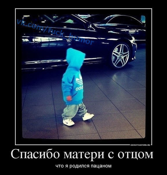 Александр Хохлов | Солнечногорск