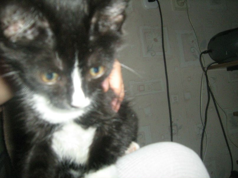 Анна Мальцева | Москва