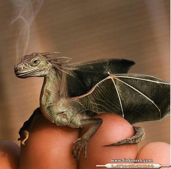 Катерина Шевченко | Иваново