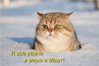 Юлия Гевак | Москва