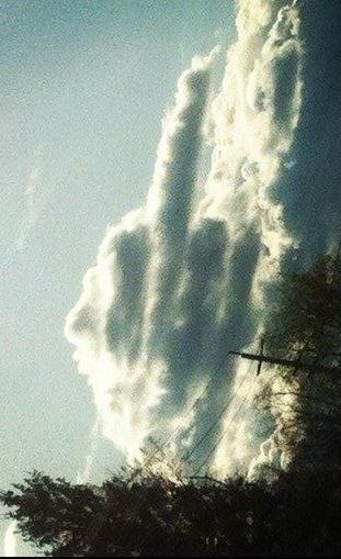 Татьяна Гайдаржи | Череповец