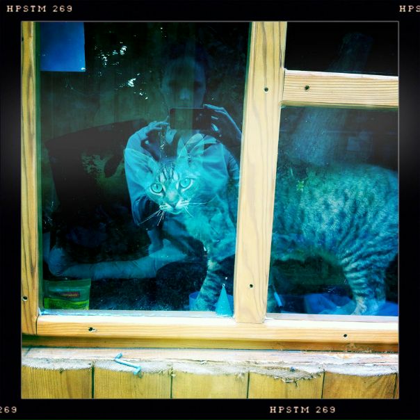 №104, Наташа Шелягина, Киев №104, Наташа Шелягина, Киев