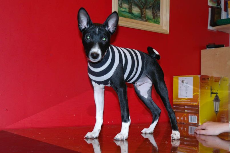 Каттана Ушакова | Москва