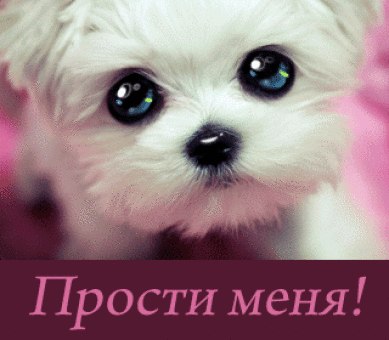 Настя Величко | 