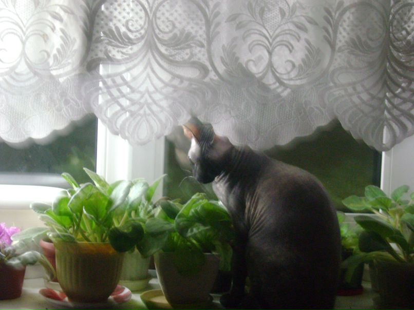 Светлана Зеленская | Норильск