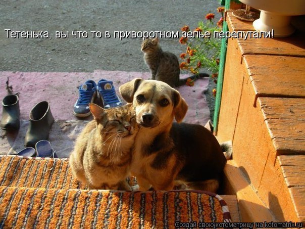 Евгения Игошина | Санкт-Петербург