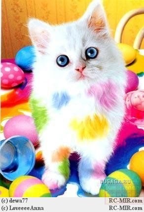 №54, Аделина Тухватуллина, 26 лет, Учалы (село) №54, Аделина Тухватуллина, 26 лет, Учалы (село)