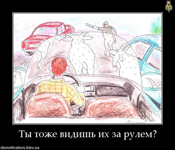 Александр Башевой | Киев