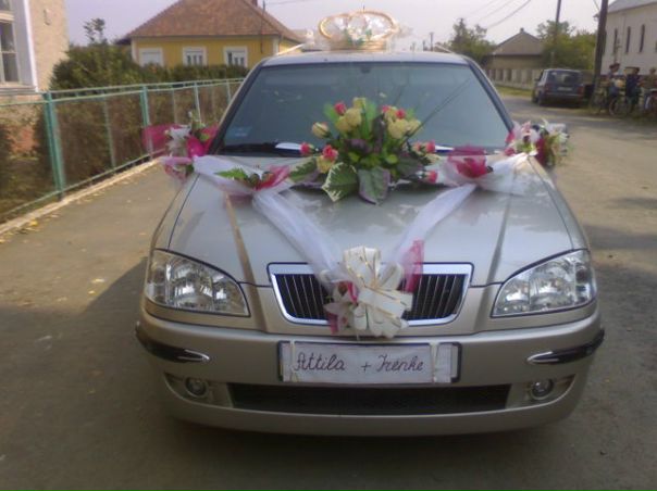 №51, Давід Лелкеш №51, Давід Лелкеш