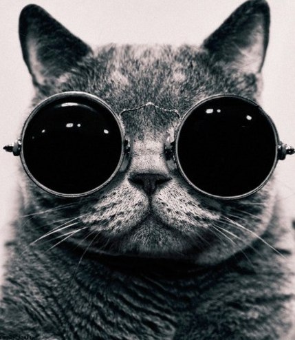 Æmil Nevsky | Hamburg