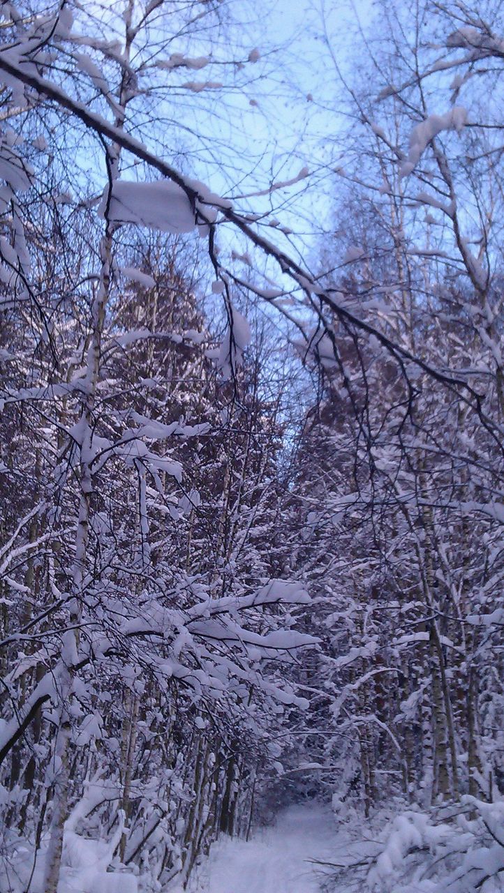 Андрей Мелик-Парсаданян | Фрязино